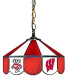 14 Swag Hanging Lamp Light University of Wisconsin Badgers - Free Shipping