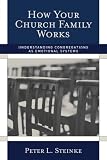 How Your Church Family Works: Understanding Congregations as Emotional Systems