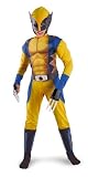 Child Wolverine Muscle Costume - Small
