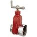 Dixon HGV250 Brass Single Hydrant Gate Valve, 2-1/2" NST female x NPSH male