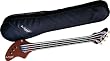 Fender Black Ashbory Fretless Electric Bass Guitar With Gig Bag - New!
