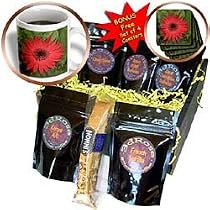 Flowers - Red Gerber - Coffee Gift Baskets - Coffee Gift Basket