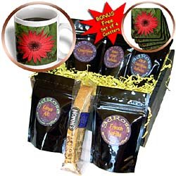 Flowers - Red Gerber - Coffee Gift Baskets - Coffee Gift Basket by 3dRose LLC