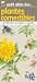 Petit atlas des plantes comestibles : 60 Plantes sauvages à cuisiner