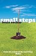 Small Steps