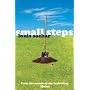 Small Steps