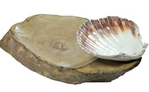  Christmas Gifts For Men & Women A Beautiful & Rusitc Handmade Snack Tray Server Made Out Of Guava Wood With Dip or Sauce Holder Made Out of Real Ocean Shell