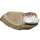 Valentines Day Gift Ideas For Men & Women A Beautiful & Rustic Handmade Snack Tray Server Made Out Of Thick Guava Wood With Dip or Sauce Holder Made Out of Real Ocean Shell Excellent For Gifting ~ India Ethnicity
