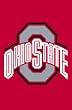 Ohio State University Buckeyes Flag - Garden Size