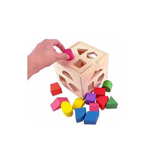 Geekercity 13 Hole Cube for Shape Sorter Cognitive And Matching Wooden