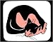 Decorated Mouse Pad with cat, lying, pet, animal, sleeping, feline