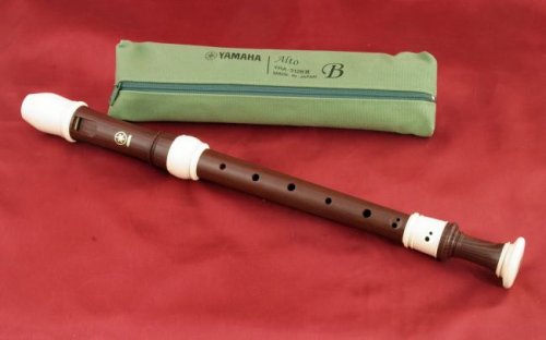 Childrens Toyshop  Musical Instruments : Alto Recorder, Key of F