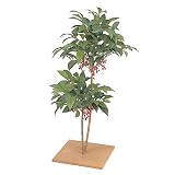 �y�l�H�A���z�}�������E80cm