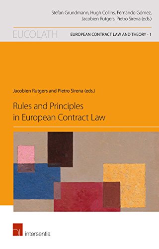 Rules and Principles in European Contract Law (European Contract Law and Theory)