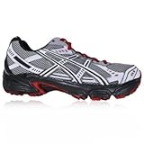 ASICS TRAIL TAMBORA 2 Laufschuhe - 40.5