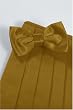 Bowtie and Cummerbund Set - Luxury Satin Gold