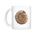 Ammonite Photo Mugs