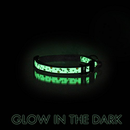 Pawtitas Pet Glow In The Dark Cat Collar with Safety Buckle and Bell