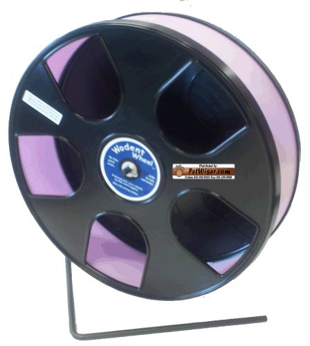 Rodent - Semi-Enclosed Exercise Wodent Wheel 'Sr.' 11