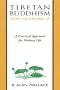 Tibetan Buddhism from the Ground Up: A Practical Approach for Modern Life