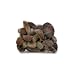 Gourmet Food : French Porcini Mushrooms - Frozen - 1 x 2.2 lb