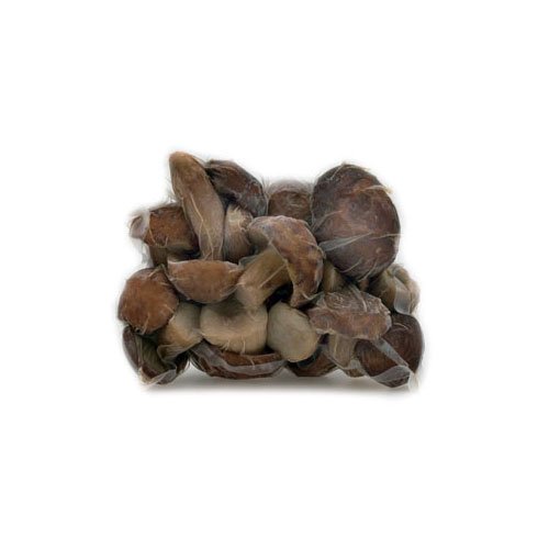 French Porcini Mushrooms - Frozen by Gourmet Food Store