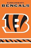 Cincinnati Bengals Orange Applique Banner Flag