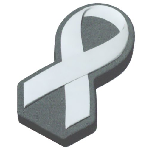 CK Products Awareness Ribbon Pantastic Plastic 