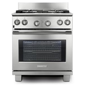 Electrolux Icon Professional E36df76gps