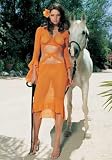 2Pc Mesh Bell Sleeves Wrap Top & Skirt Set by Leg avenue