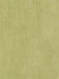 ABBY ROSE Wallpaper -AB31005 Wallpaper