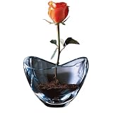 Nambe Amore Crystal Bowl, 11-Inch