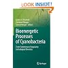 Bioenergetic Processes of Cyanobacteria: From Evolutionary Singularity to Ecological Diversity