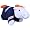 Denver Broncos