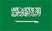 KINGDOM OF SAUDI ARABIA NO GOD BUT ALLAH & SWORD FLAG Image