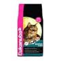 Eukanuba Mature Care Formula Senior Chicken Cat Food