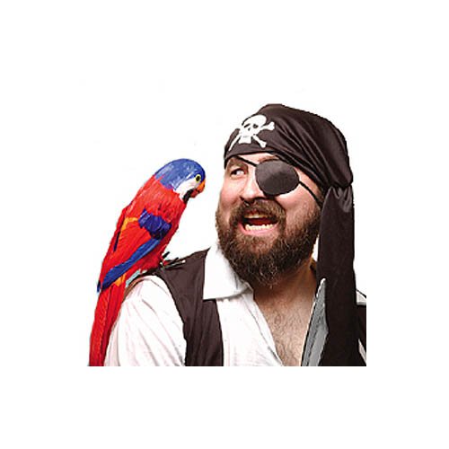 PIRATE PARROT PIRATE PARROT
