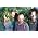 Thumbnail image of Dungen