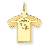 14K Arizona Cardinals Large Jersey w/Name & Logo