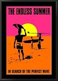 The Endless Summer Movie Framed Poster Print, 31x43