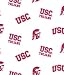 University of Southern of California by Sykel - Cotton