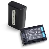 Batterie de caméscope Lithium Ion 900 mAh pour Sony NP-FH30, NP-FH40, and NP-FH50