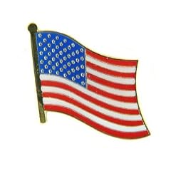 Flaggen Pin Fahne USA NEU Pins Anstecknadel