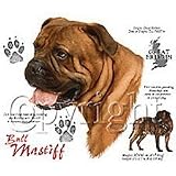 Bull Mastiff Adult T-Shirt