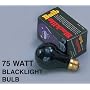 75 watt BLACKLIGHT BULB - Brand New