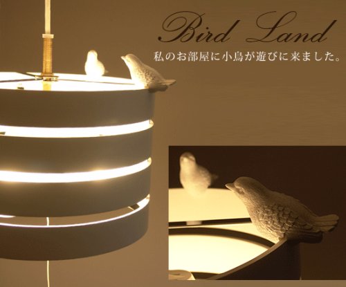 Cover image : 【L.F.S.＆Floyd】 BIRD LAND ブラック