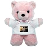 Teddy Bear Pink Dolphins Flying in Sunset