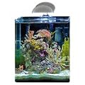 Dennerle 7004165 Nano Marinus Cube Complete Plus 60 Liter
