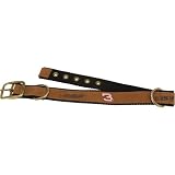 Pets & Pals Dale Earnhardt Leather Dog Collar
