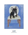 Lulu The French Bulldog by Carol Dillon Fine Art Print Poster